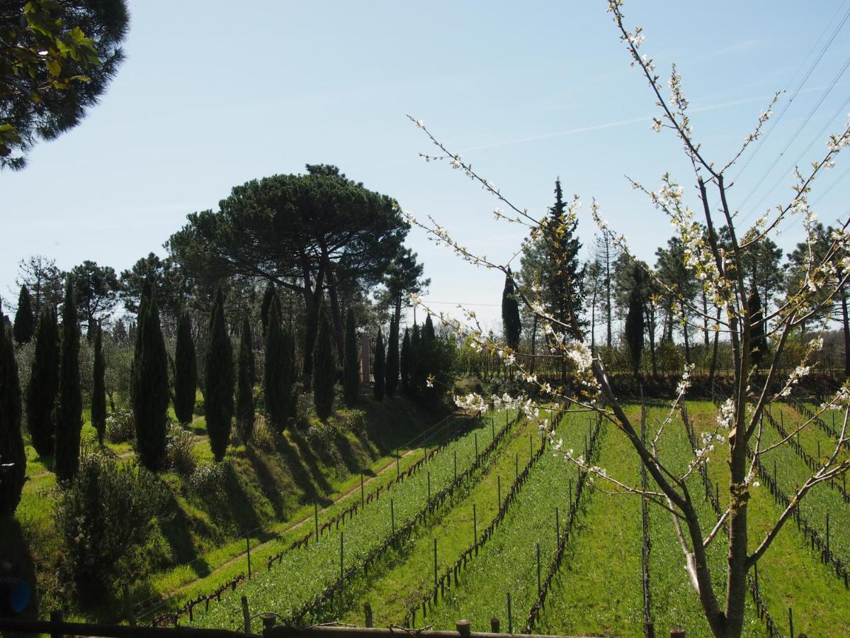 Agriturismo Gli Archi Fauglia Dış mekan fotoğraf