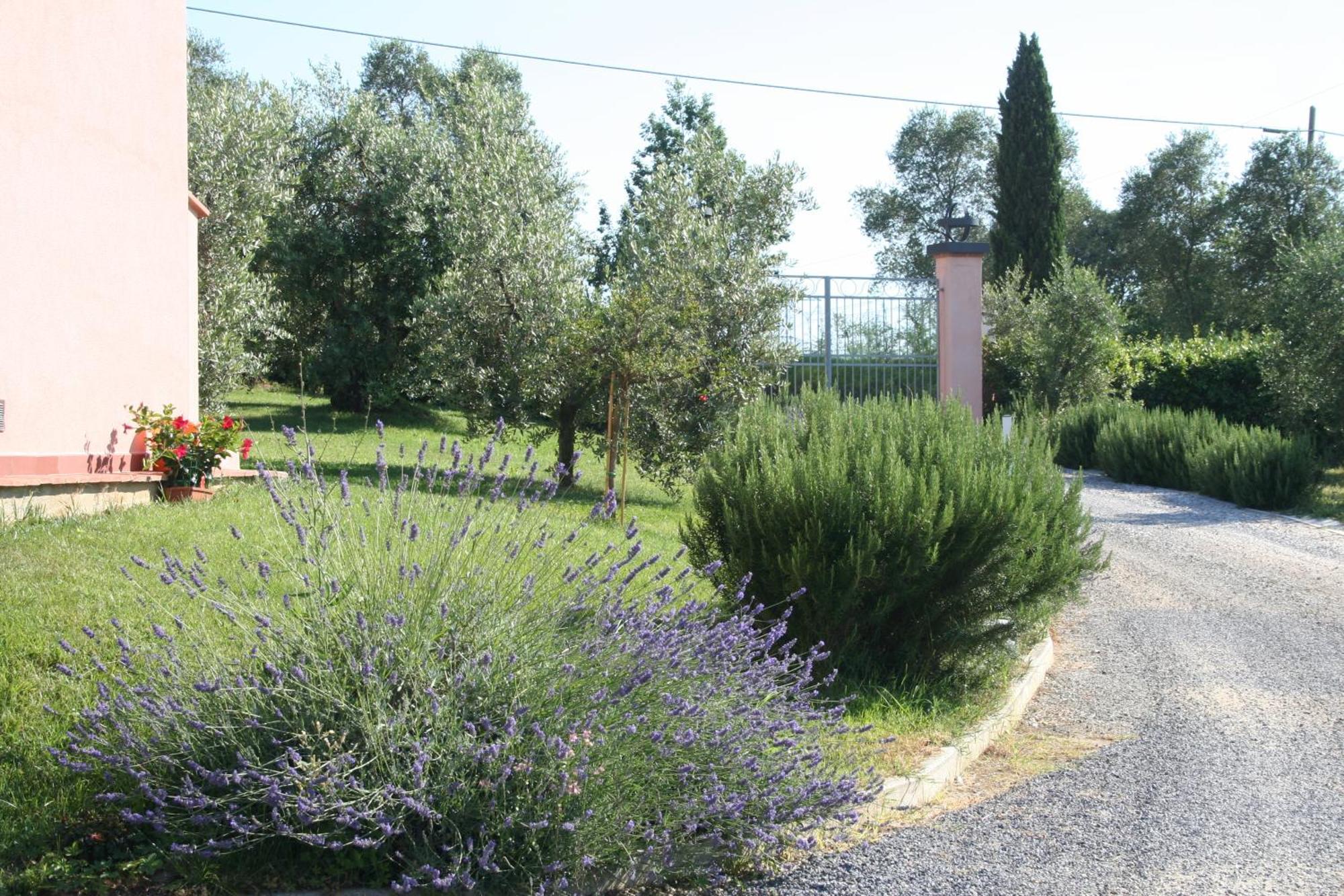 Agriturismo Gli Archi Fauglia Dış mekan fotoğraf