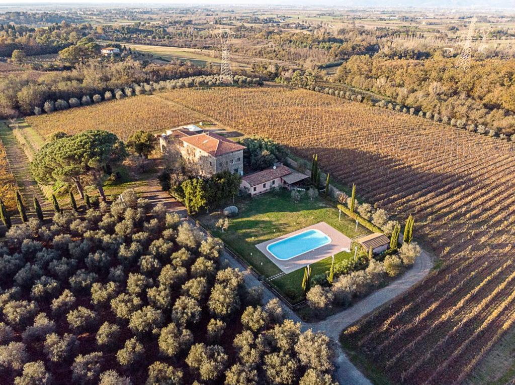 Agriturismo Gli Archi Fauglia Dış mekan fotoğraf