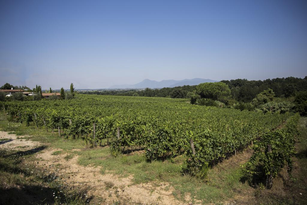 Agriturismo Gli Archi Fauglia Dış mekan fotoğraf