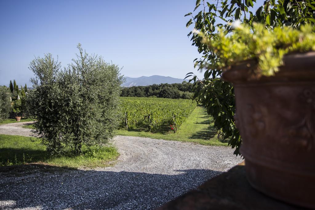 Agriturismo Gli Archi Fauglia Dış mekan fotoğraf