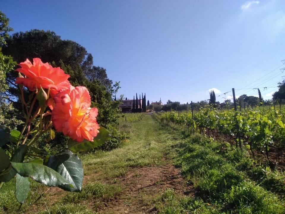 Agriturismo Gli Archi Fauglia Dış mekan fotoğraf