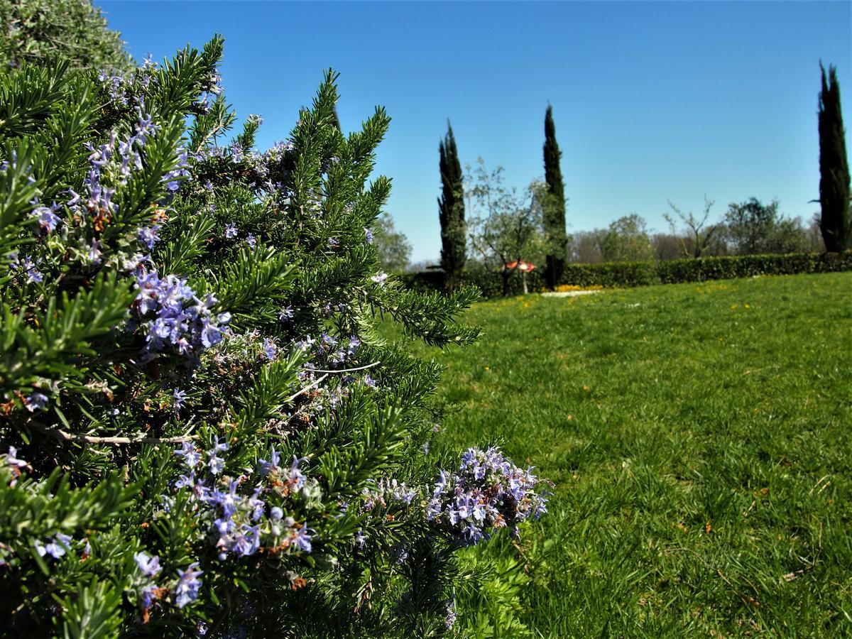 Agriturismo Gli Archi Fauglia Dış mekan fotoğraf