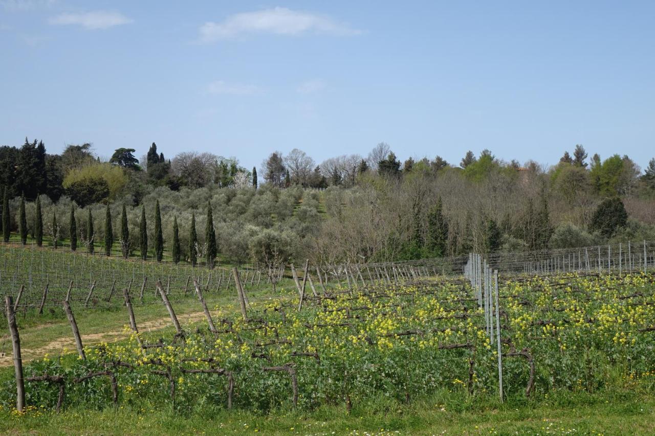 Agriturismo Gli Archi Fauglia Dış mekan fotoğraf