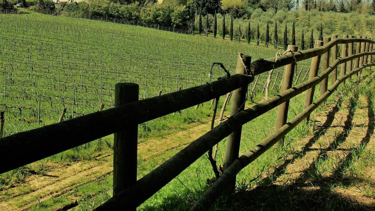 Agriturismo Gli Archi Fauglia Dış mekan fotoğraf